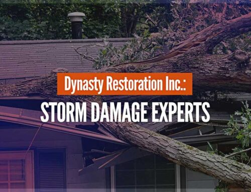 Dynasty Restoration Inc.: Storm Damage Experts