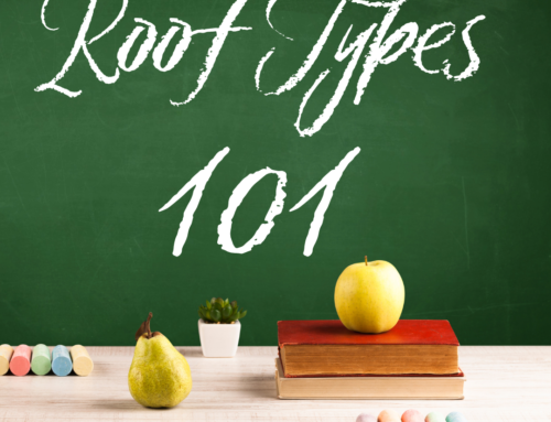 Roof types: 101